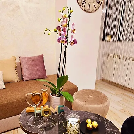 Apartament Andrew's Mamaia